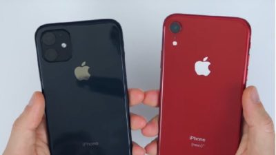 cropped iphone 11 vs iphone xr